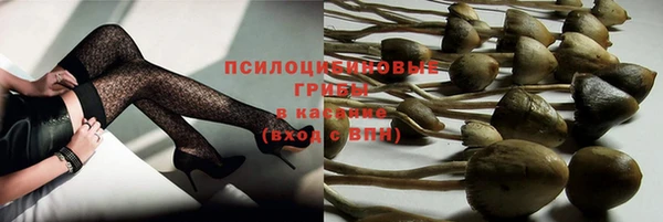 стафф Армянск
