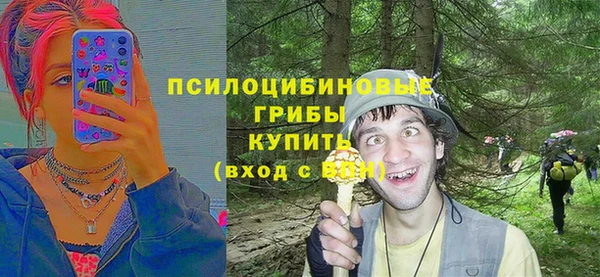 стафф Армянск