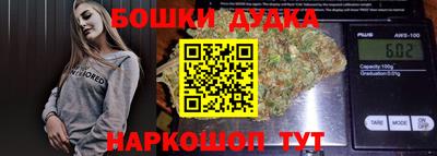 индика Беслан