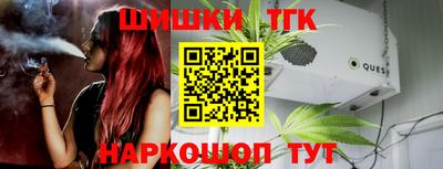индика Беслан