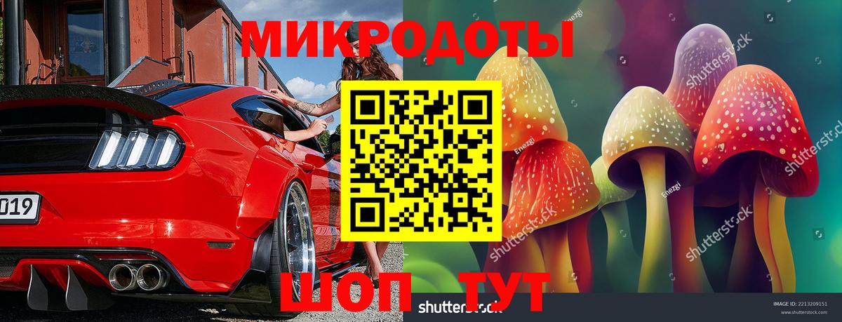 Ейск  Псилоцибиновые грибы Psilocybine cubensis  Вход с VPN  Галлюциногенные грибы Psilocybine cubensis 